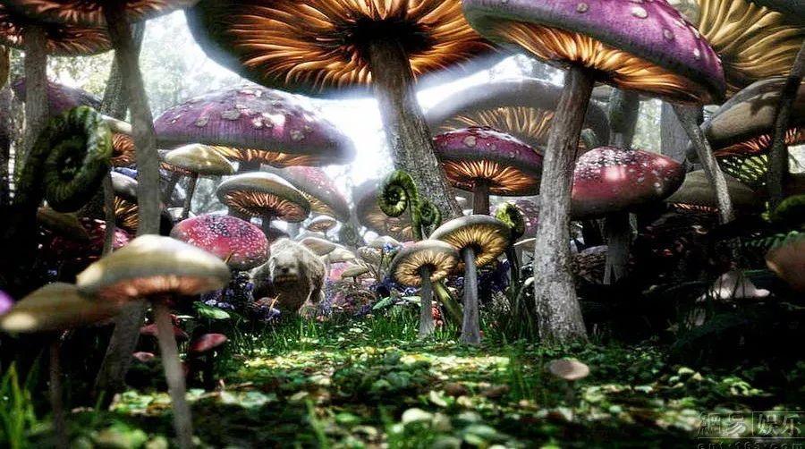 消费时你是否也遇到过强制要求办卡或续卡的行为，你会怎么做？红迪网平台-精彩内容一网打尽